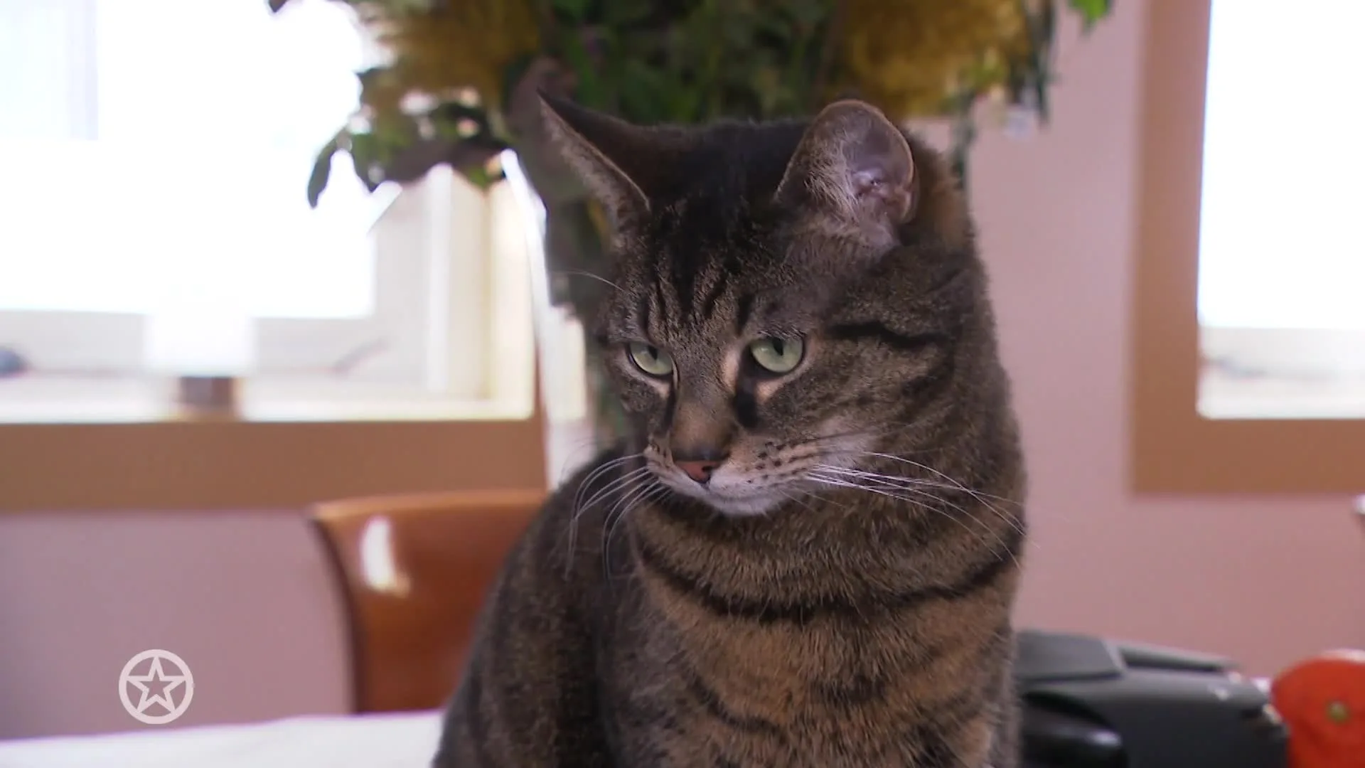 Bekend In De Buurt: Oscar Hammerstein