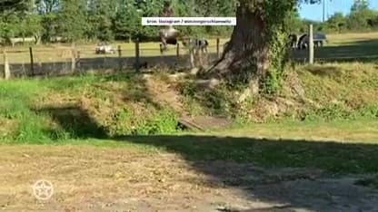 Winston en Renate Gerschtanowitz hebben grootste lol op vakantie