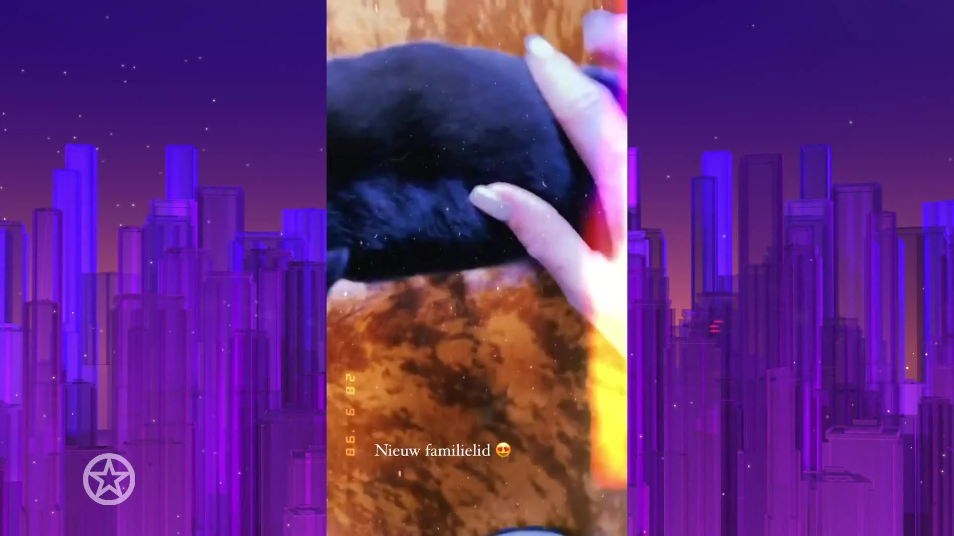 Familie-uitbreiding voor Andre en Sarah