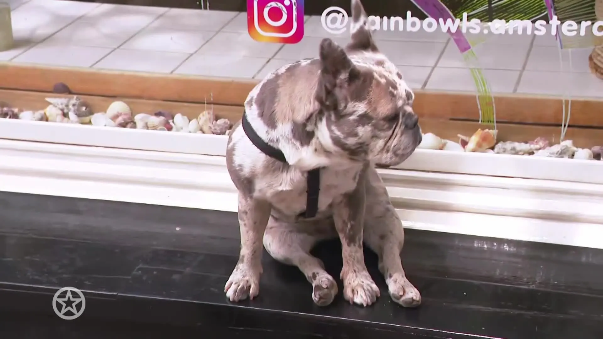 Op bezoek bij Robbert Rodenburg