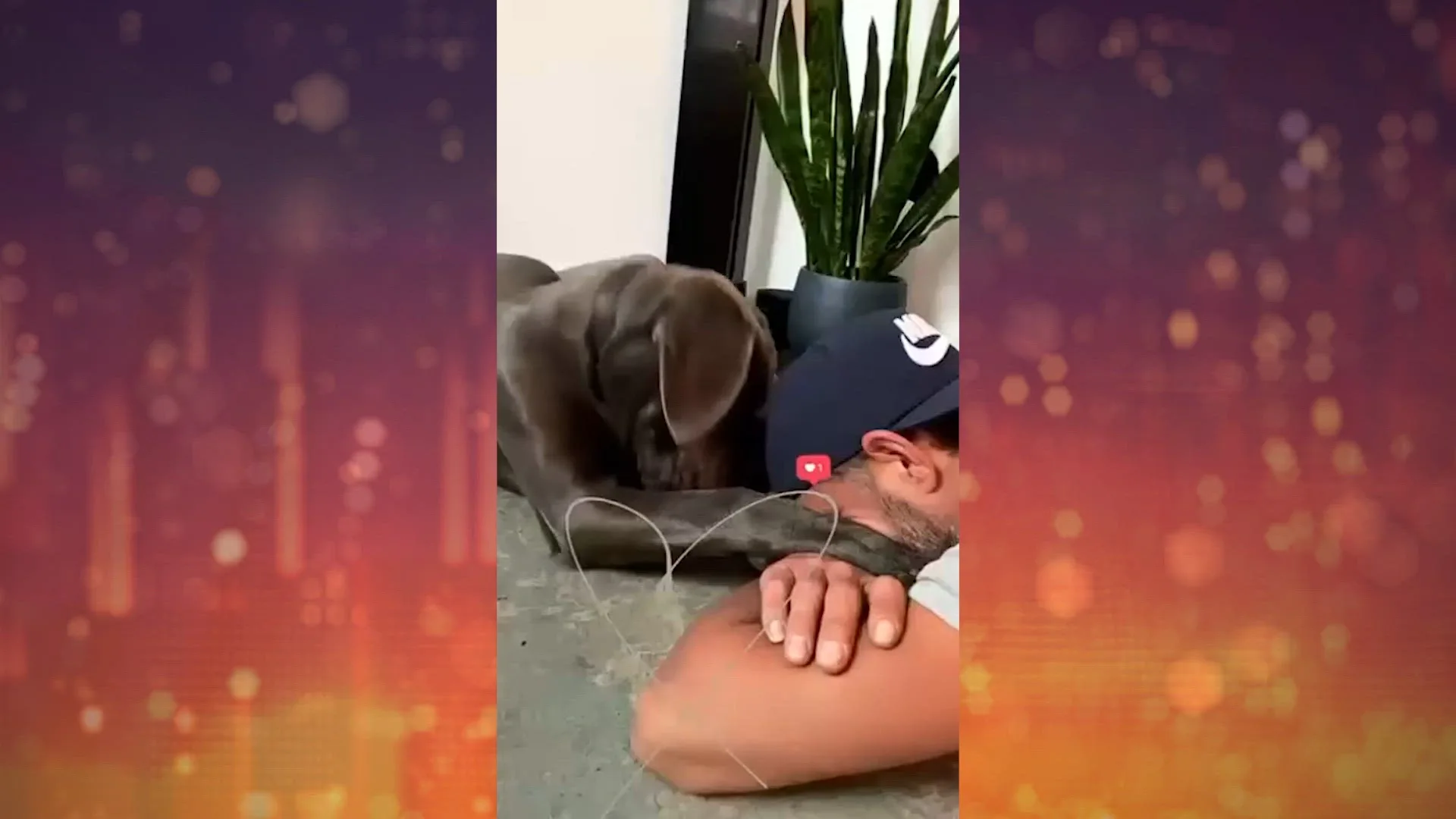 Tommie Christiaan deelt verdrietig nieuws