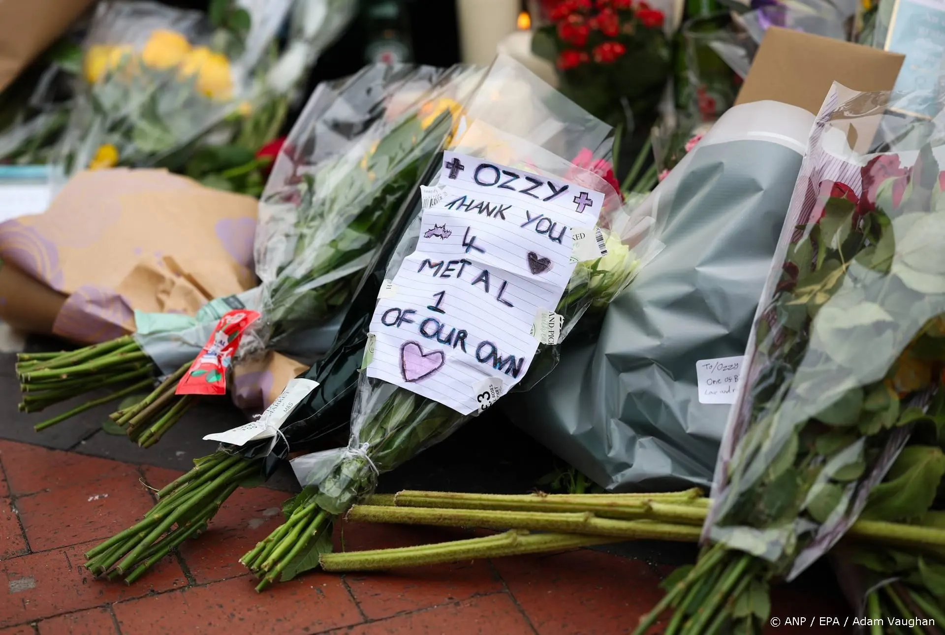 Man aangeklaagd voor stelen bloemen gedenkplaats Ozzy Osbourne