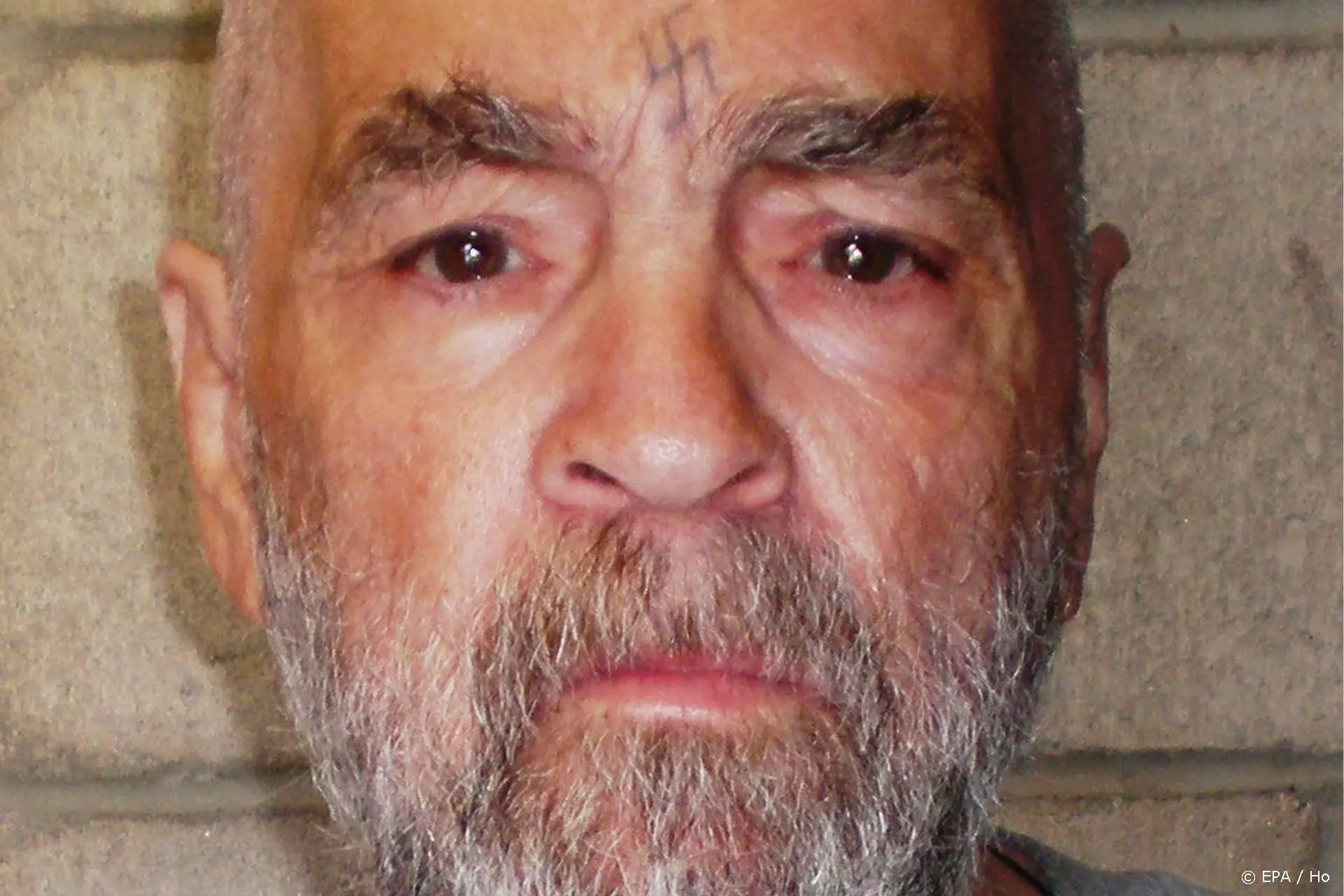Serie over Charles Manson uitgesteld om protesten