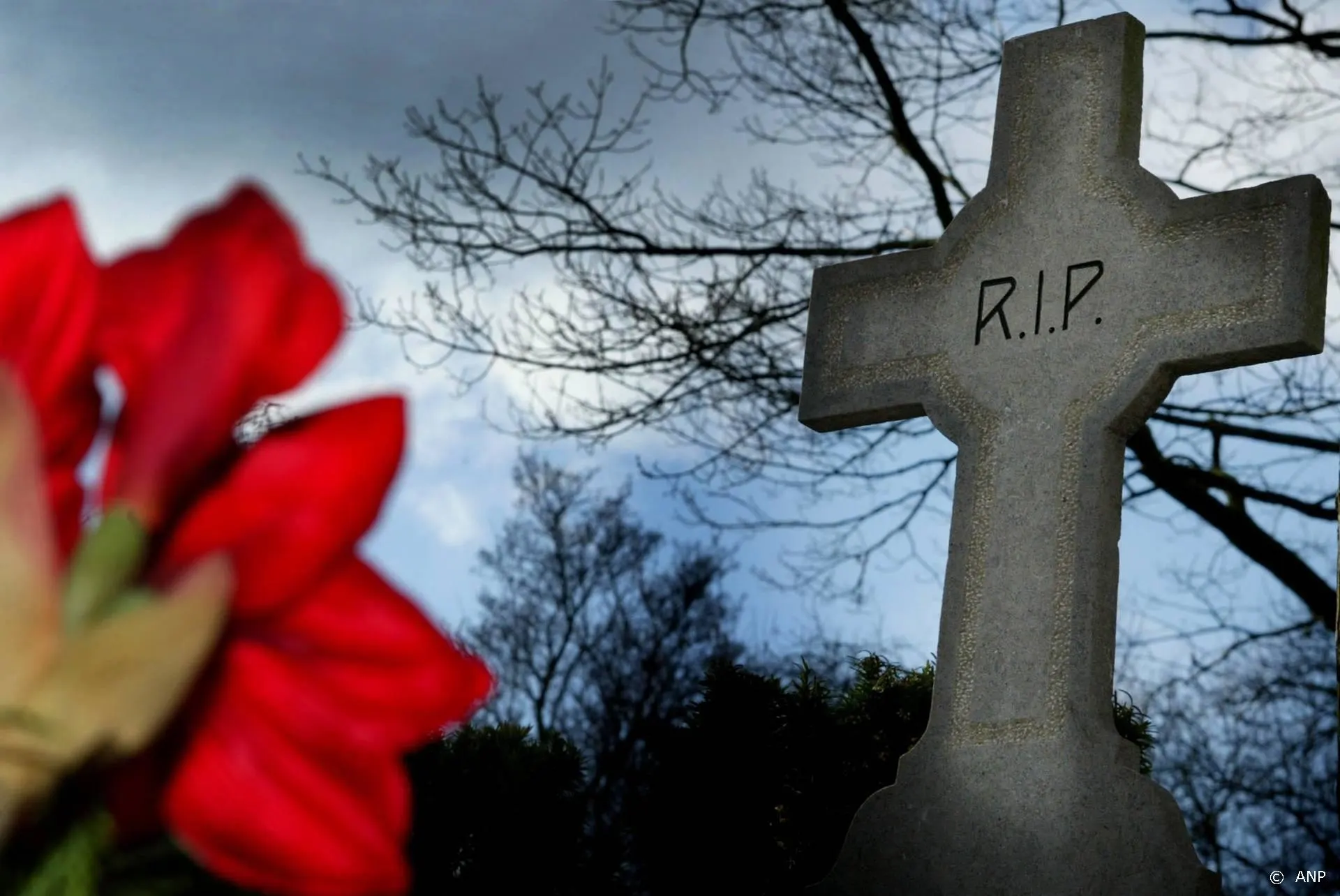 Ouders Alicia Witt aan onderkoeling overleden