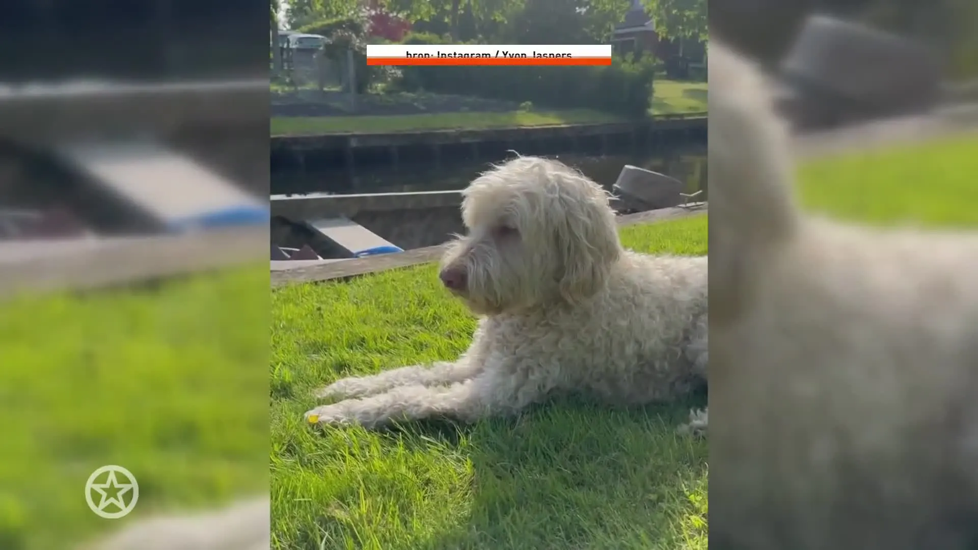 Deze oude bekende duikt weer op in Boer Zoekt Vrouw