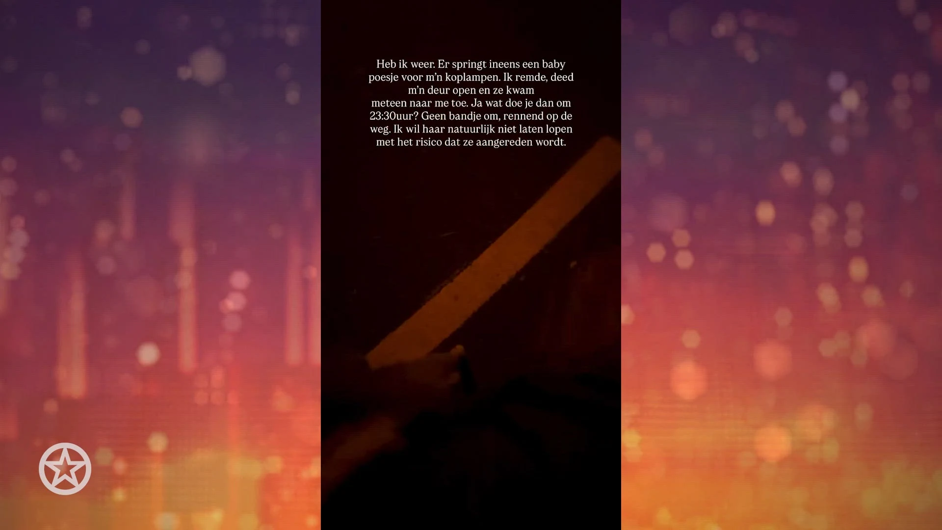 Monique Westenberg redt jong katje op de weg