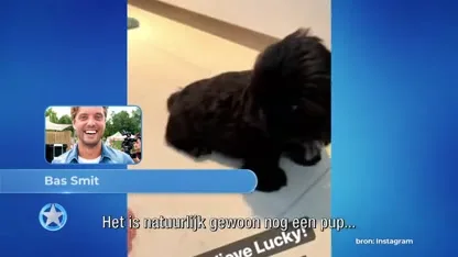 Bas en Nicolette hebben hun handen vol aan Lucky!