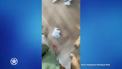 Onaangename verrassing voor Monique