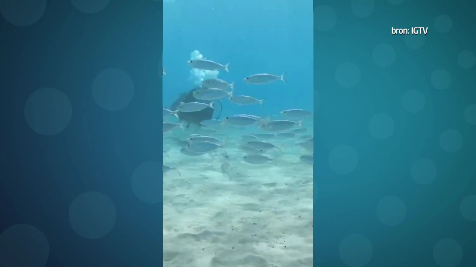 The next big social thing: Instagram TV