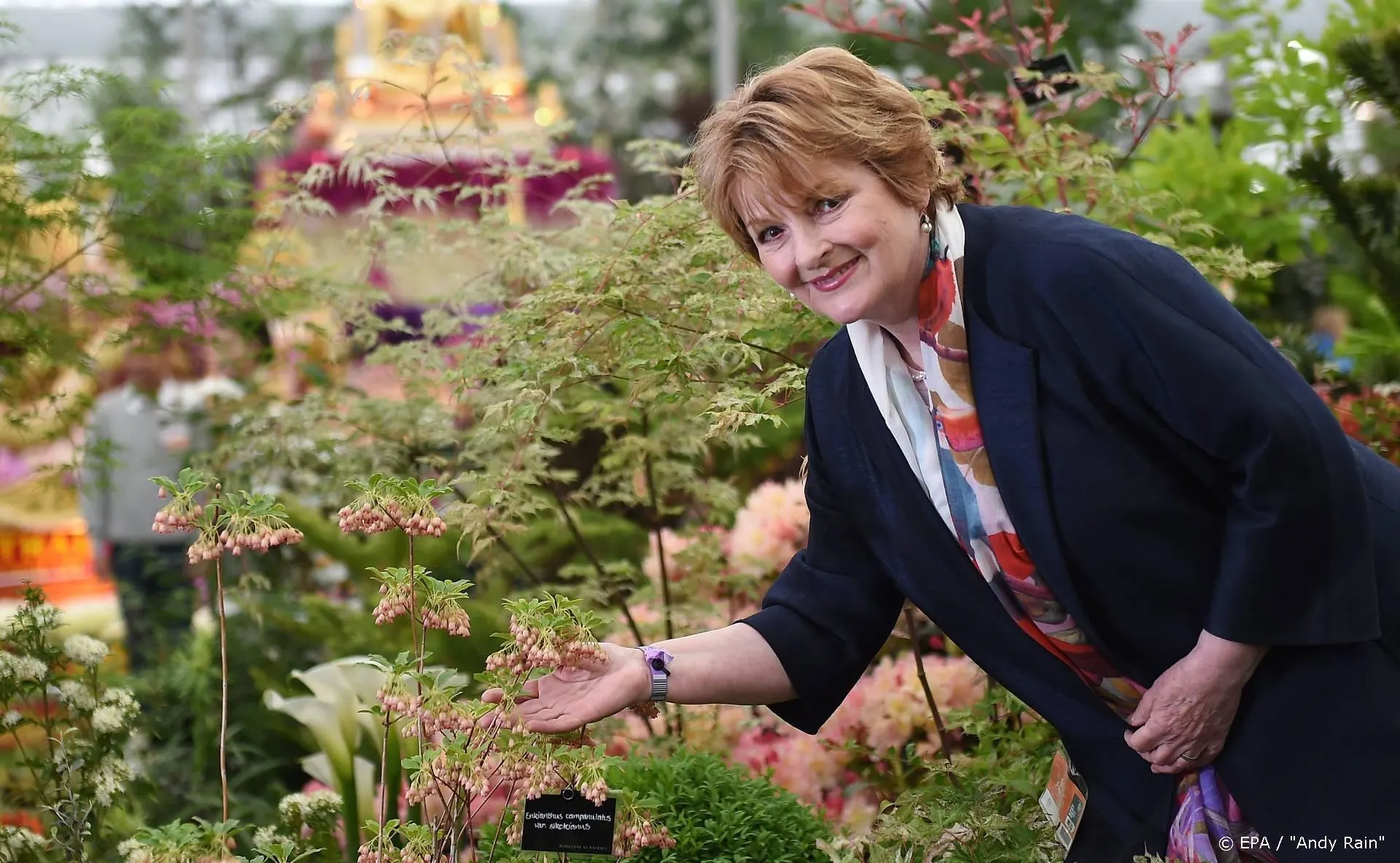 Detective Vera scoort goed bij start nieuwe seizoen