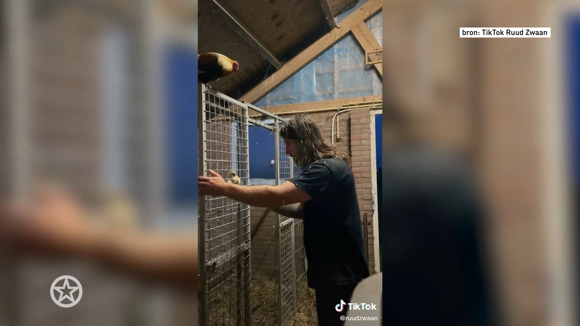 Ruud Zwaan pleegt heldendaad