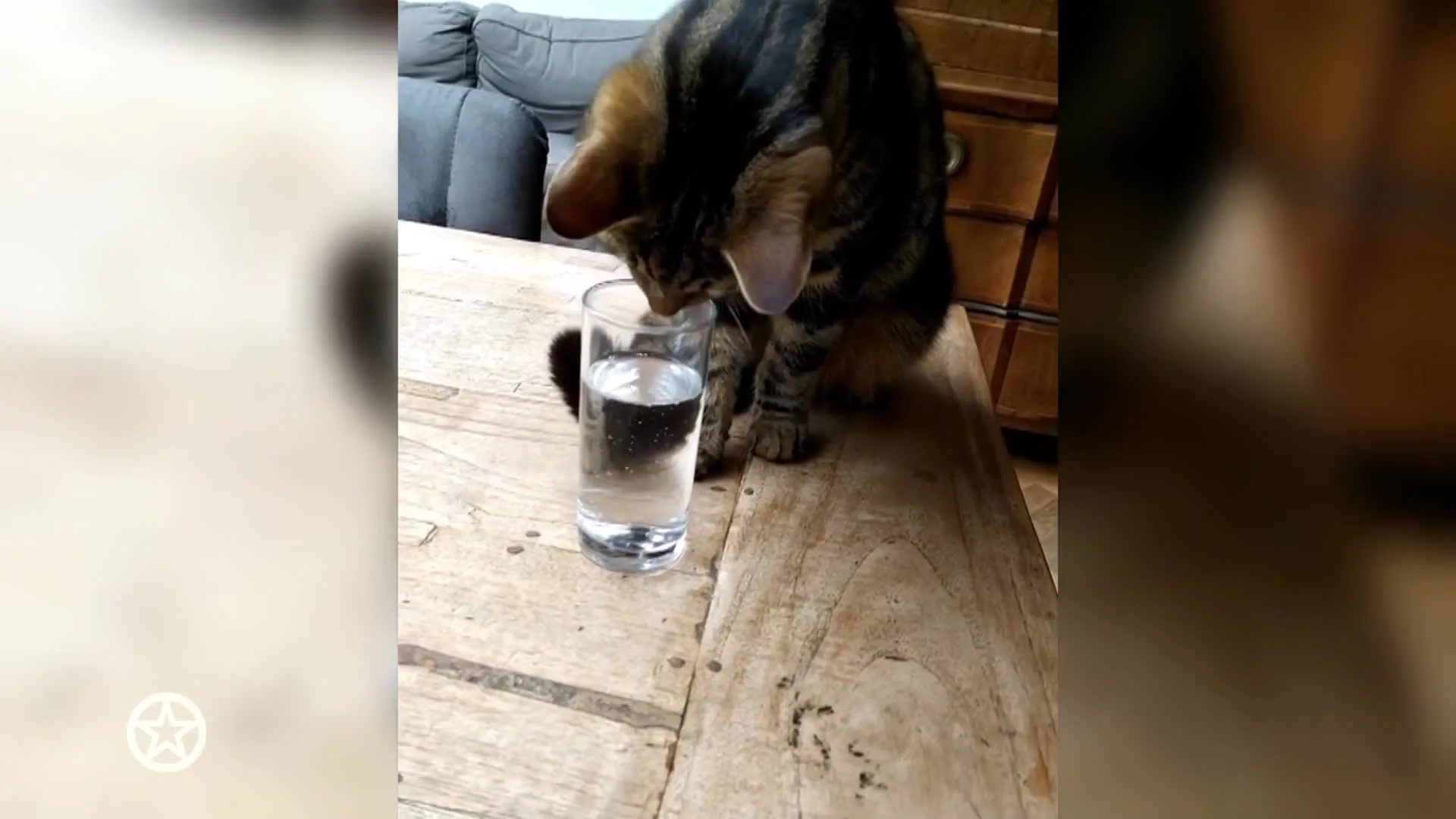 Bubbels voor Selma's Karel