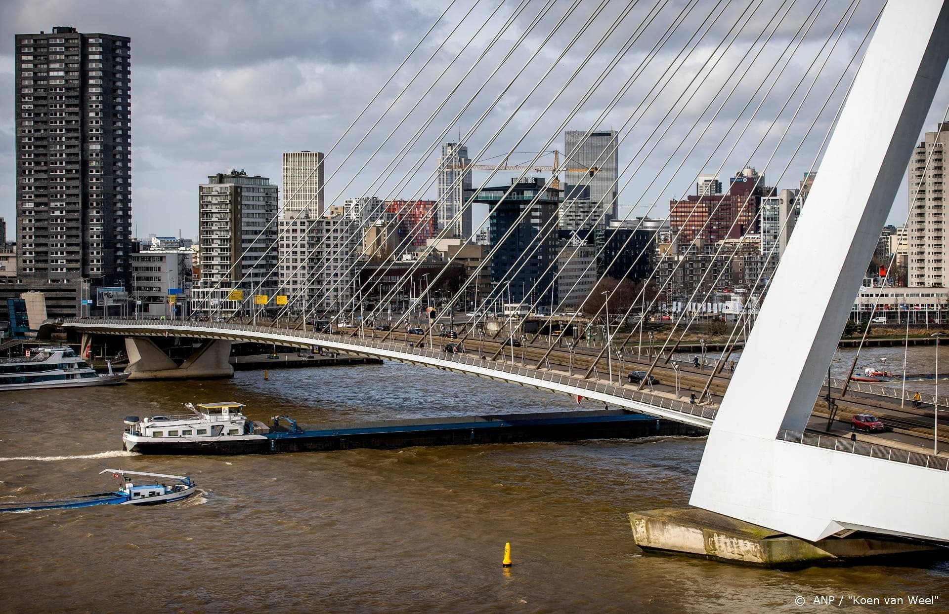 Rotterdam verdeeld over financiële steun uitgesteld songfestival