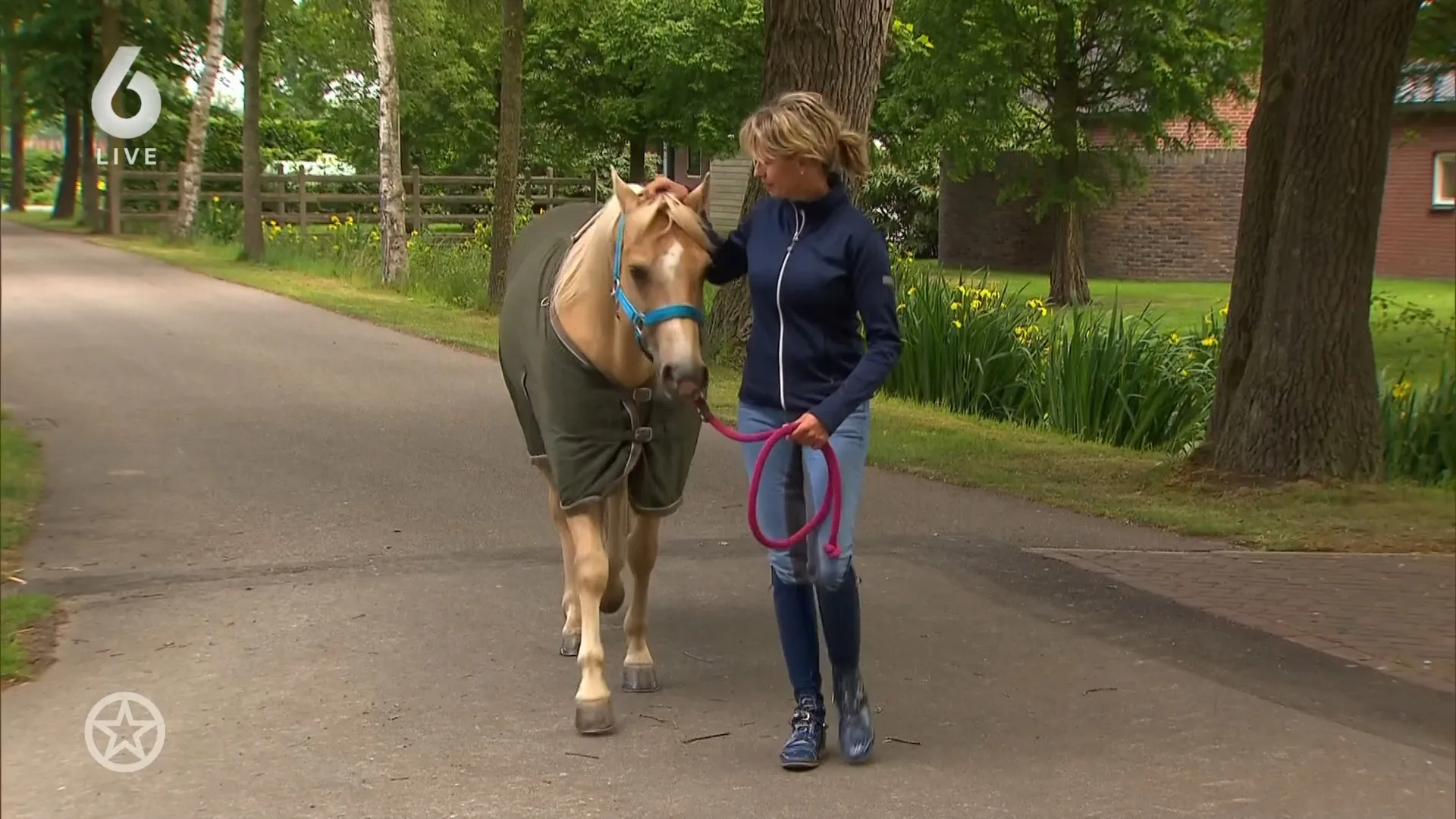 Anky van Grunsven aangeklaagd
