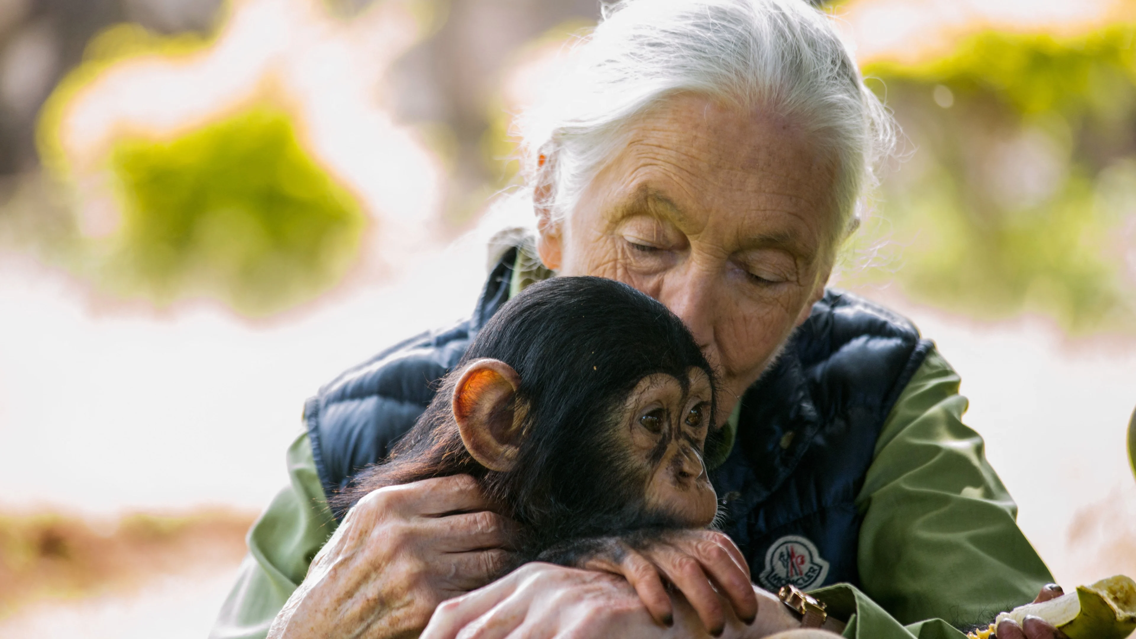 Chimpansee-expert Jane Goodall (91) overleden