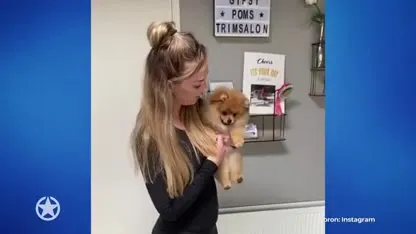 Filmpje hond Rachel Hazes lokt discussie uit