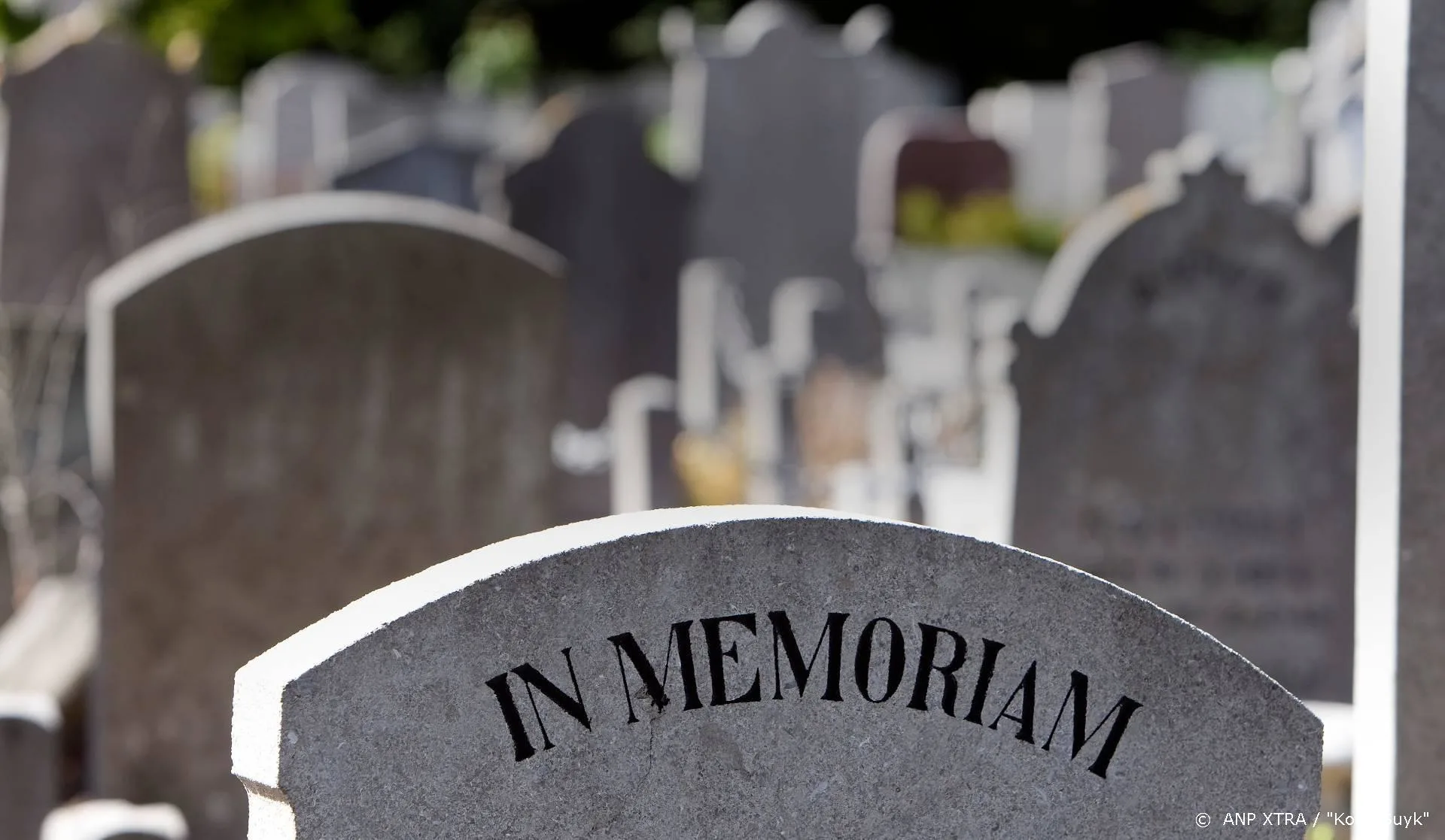 Scenarioschrijver Buck Henry (89) van The Graduate overleden