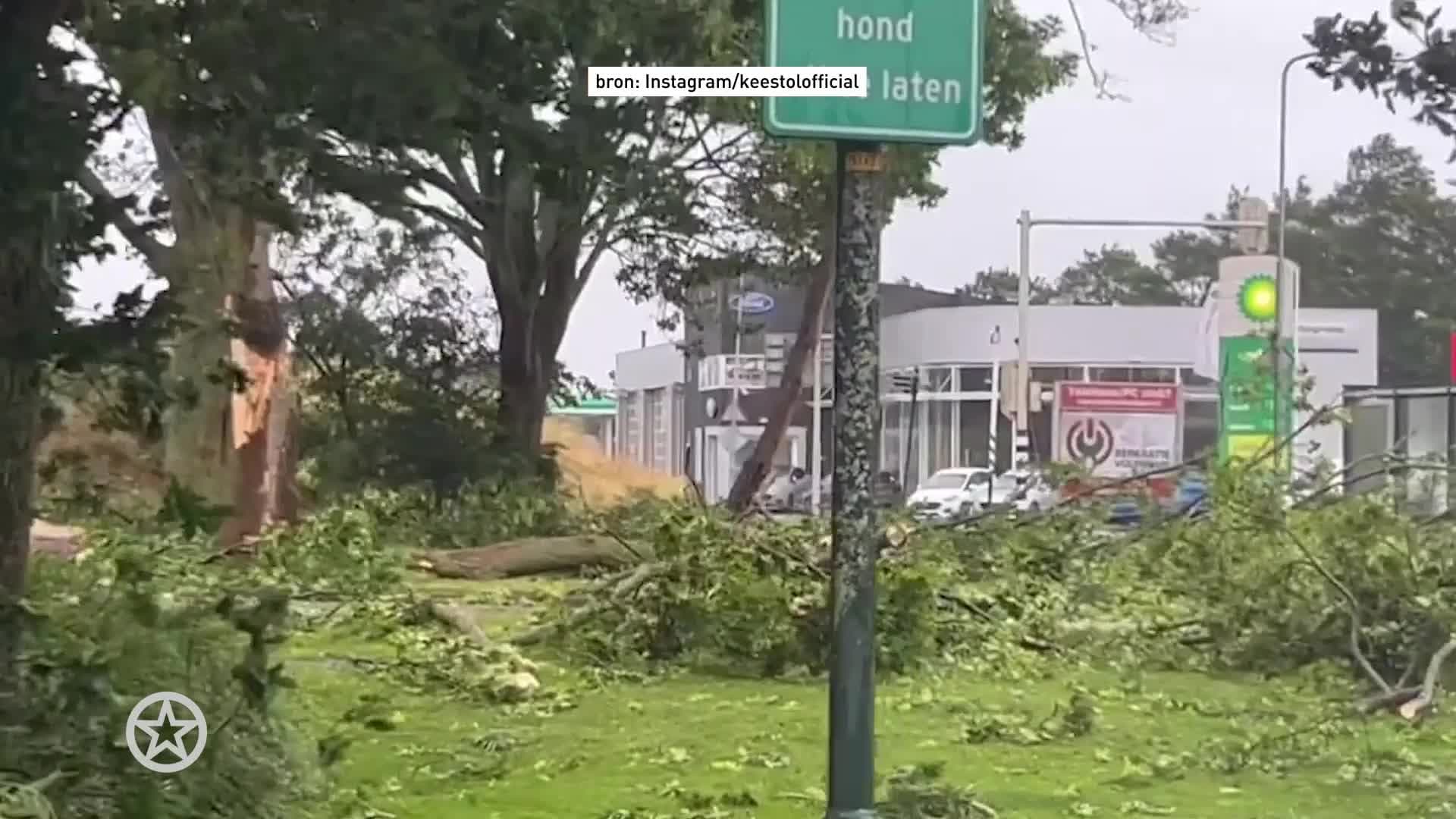 Kees Tol laat stormschade zien