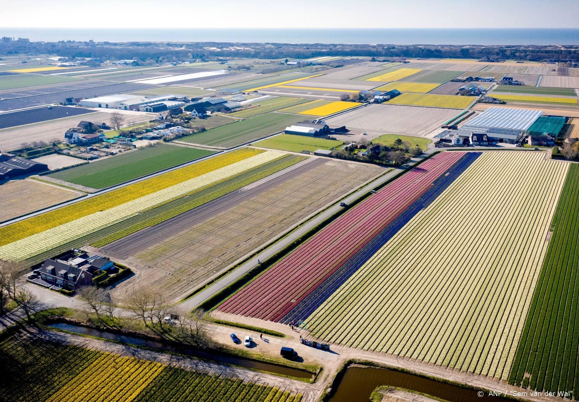 Hart van Nederland-drone die steunbetuiging filmt groot succes