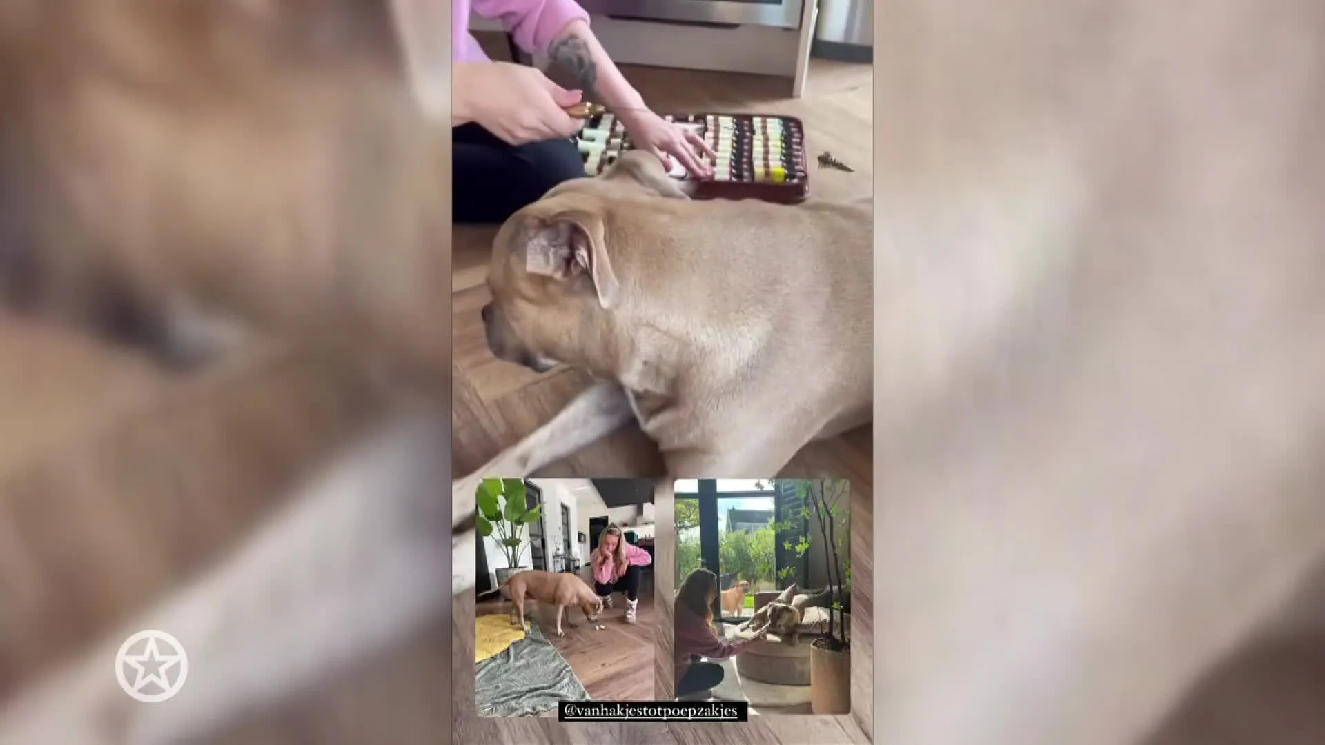 Monique deelt deze bijzondere ervaring