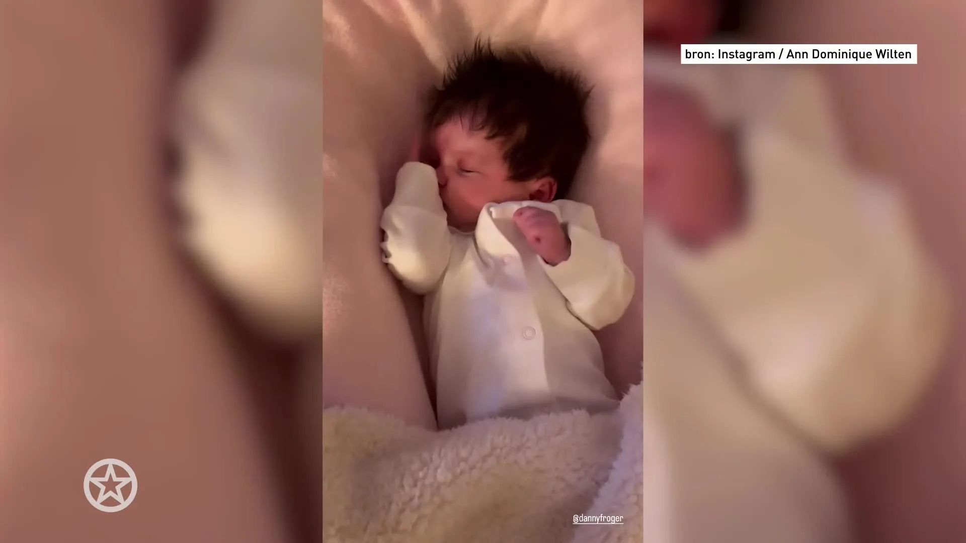 Danny Frogers trots: kleine Scottie