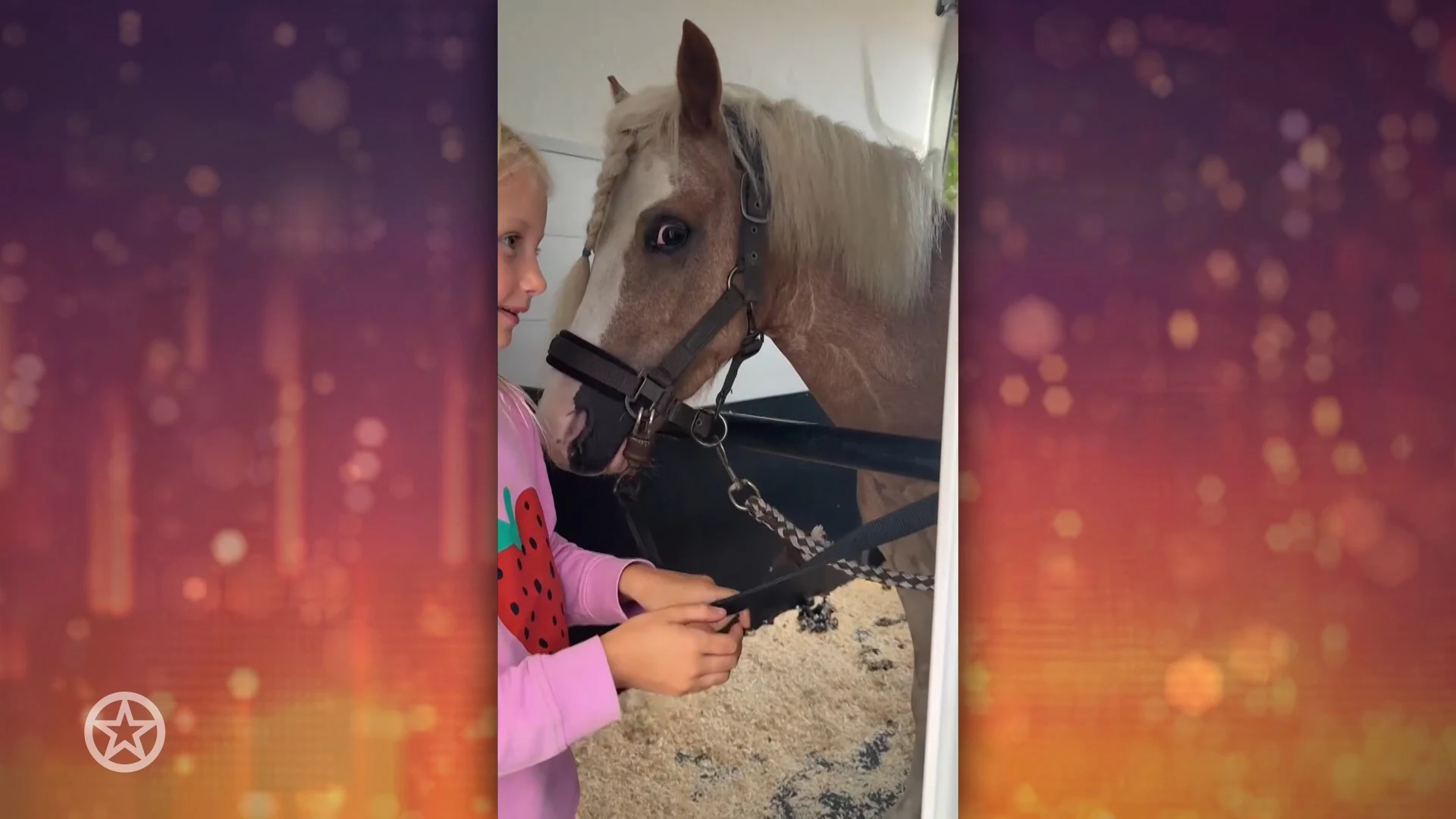 Maxime Meiland verrast dochtertje met reusachtig cadeau