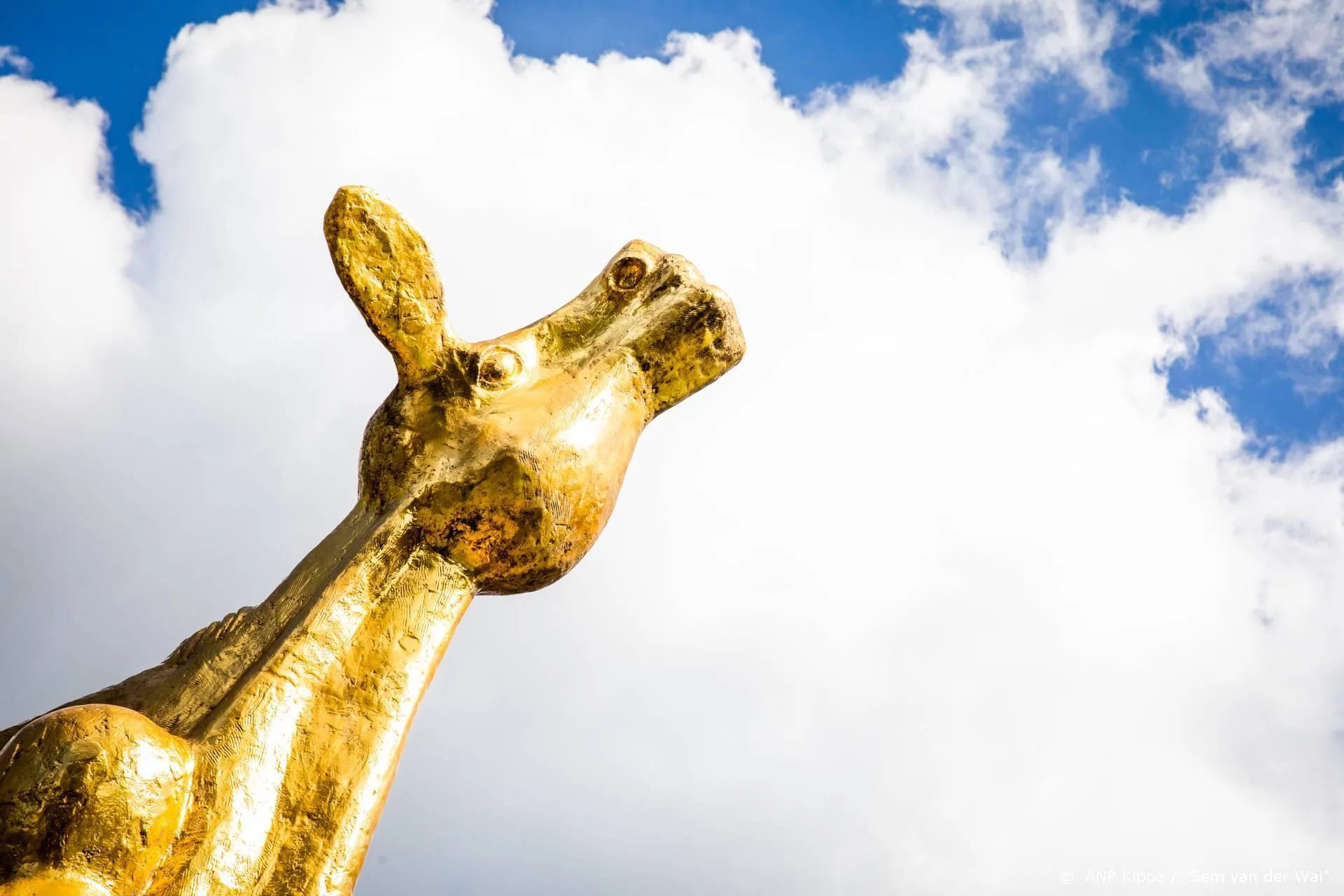 Gouden Kalf-selecties speelfilms en series bekendgemaakt