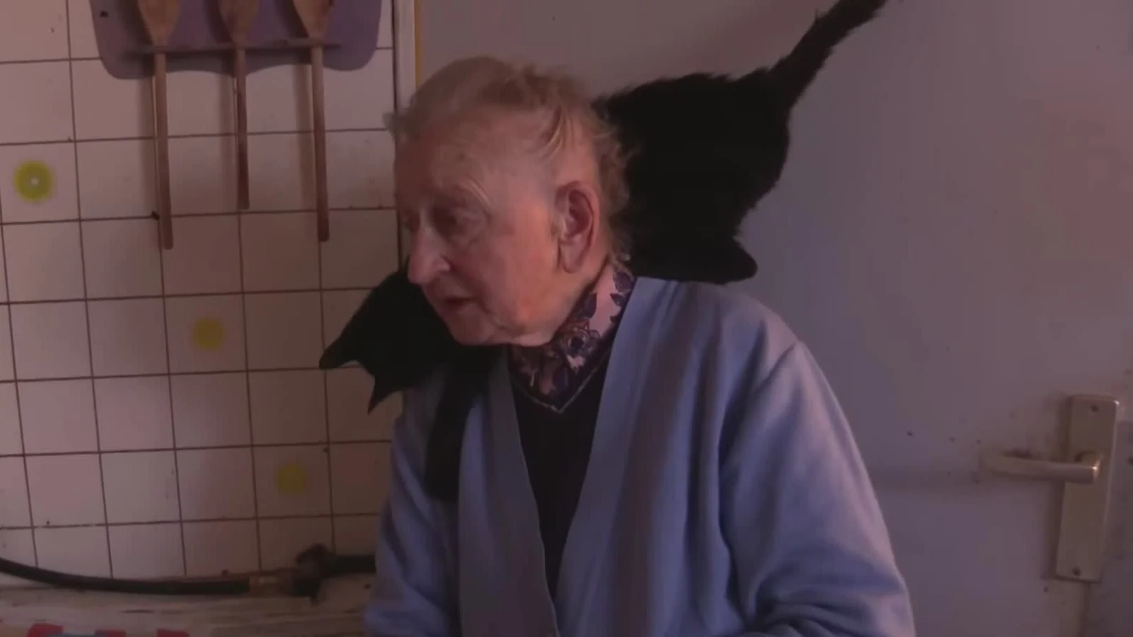 Man bijt hond-gezicht Grietje Post (85) overleden