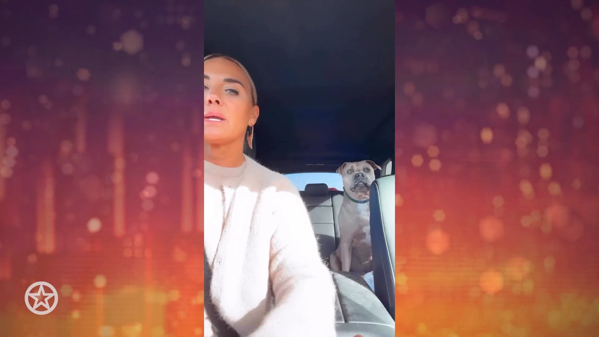 Hond Monique Westenberg aan de chemo