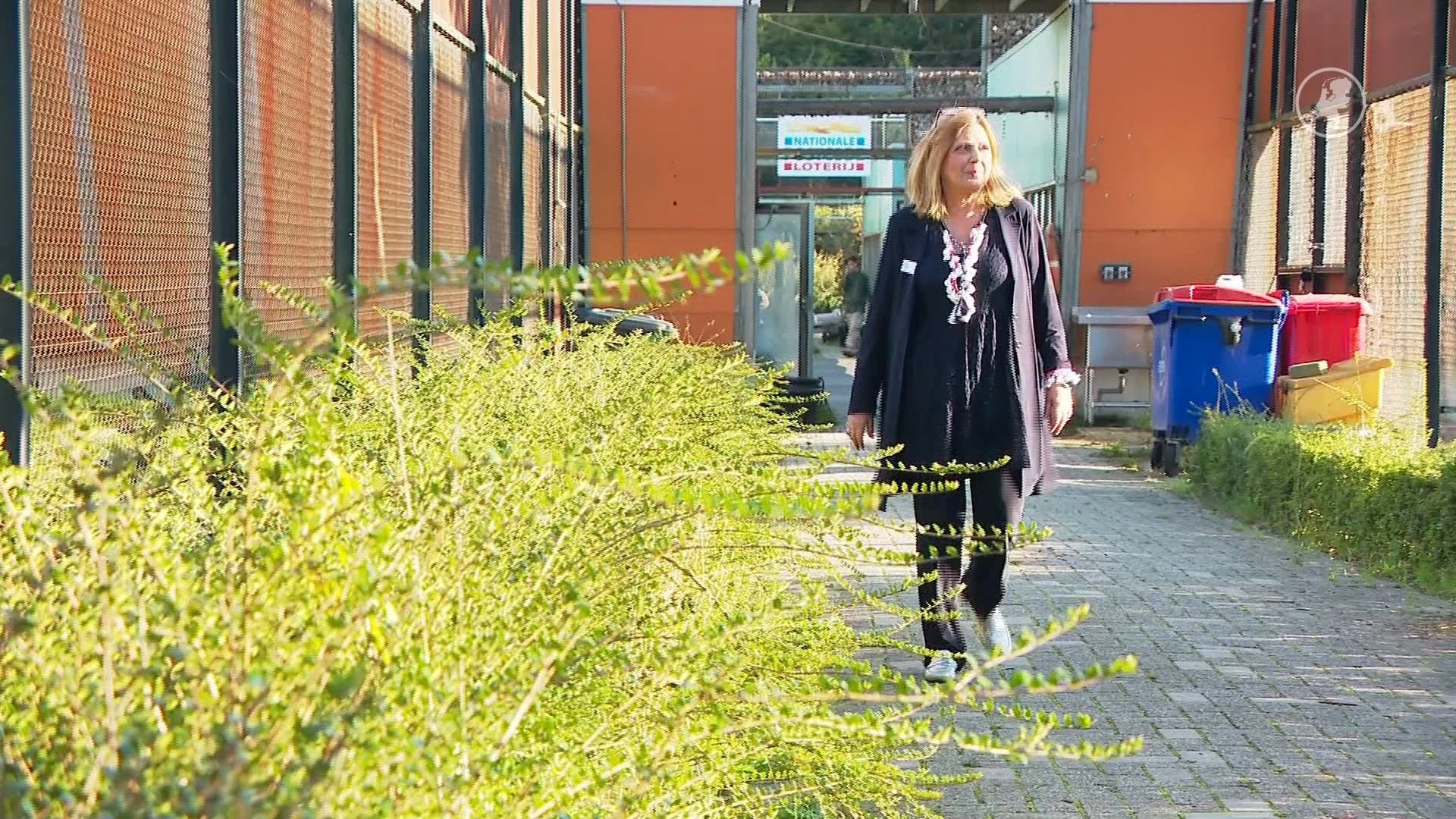 Stichting House of Animals reageert op overlijden Loretta Schrijver