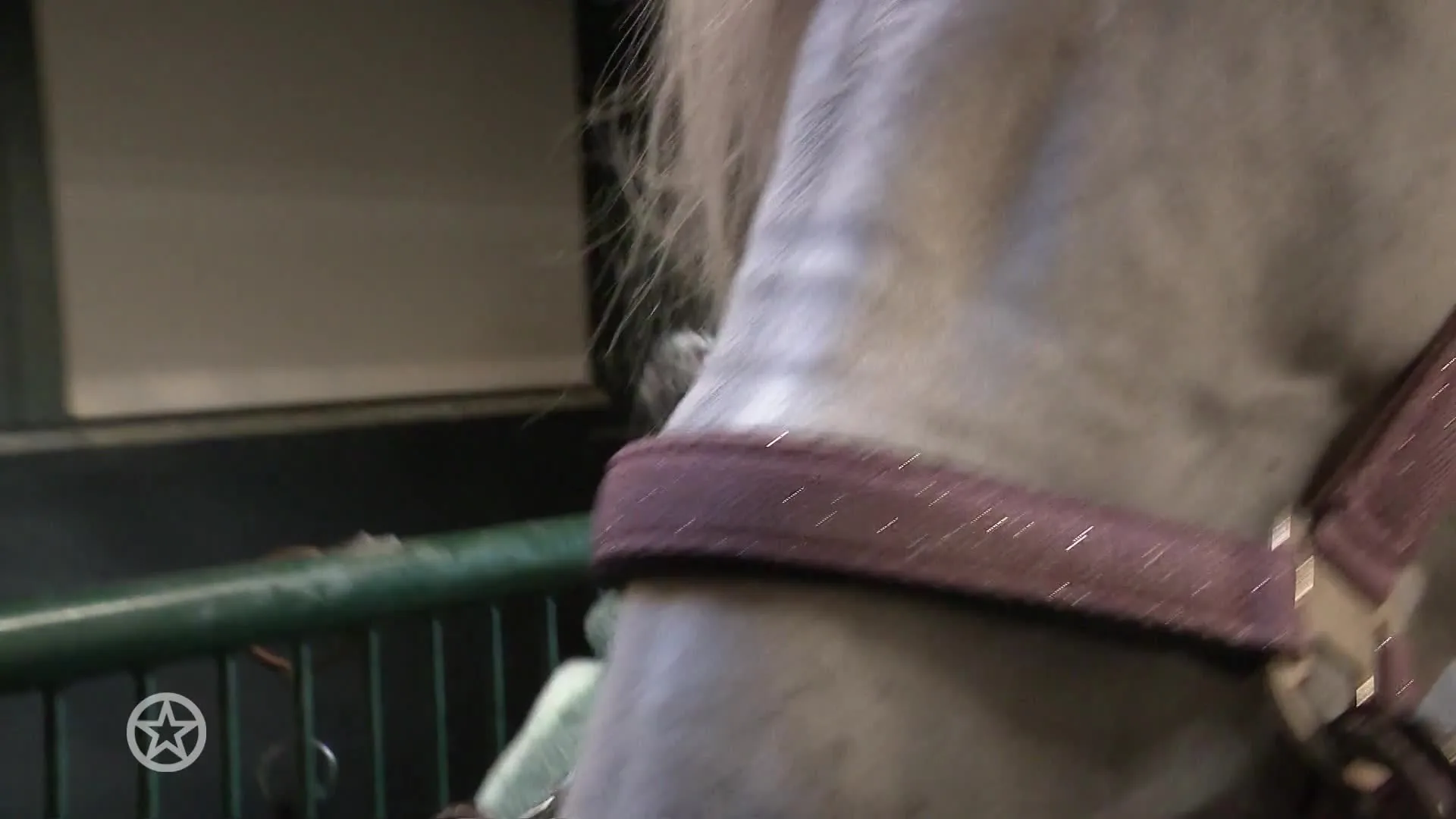 Britt bezorgt kindje 'mooiste dag van haar leven'