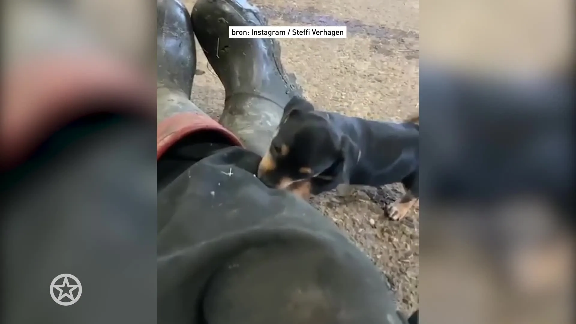 Gezinsuitbreiding voor boerin Steffi