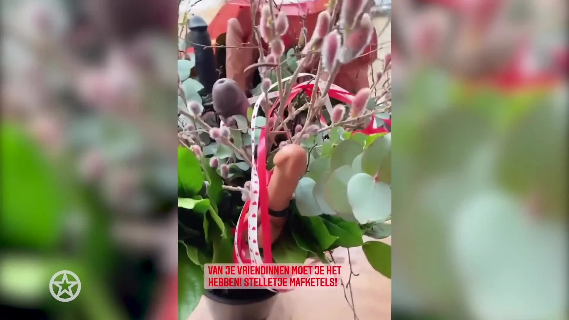 ZIEN: Pikante Valentijnsverrassing voor Monique