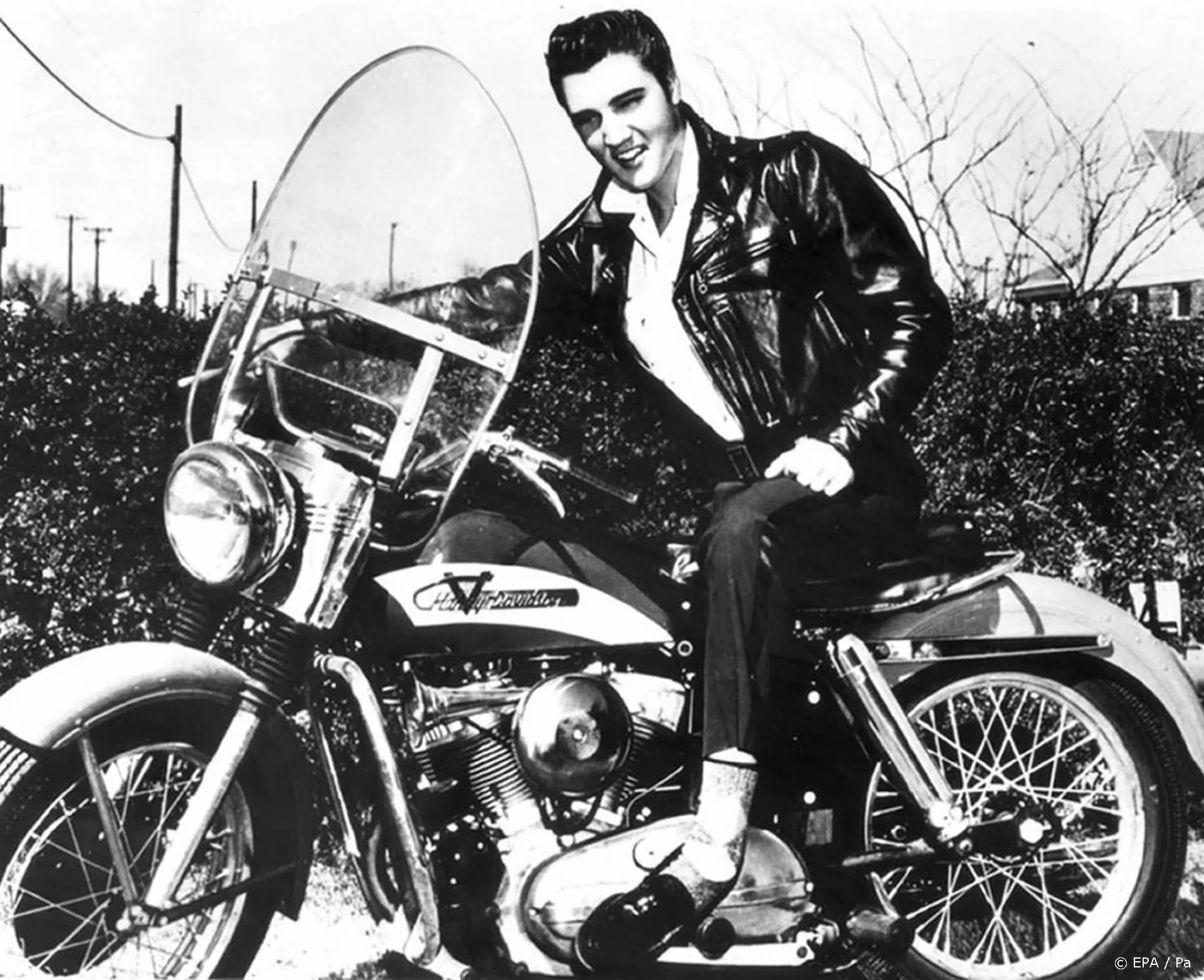 Elvis-film weer hit in de Nederlandse bioscopen