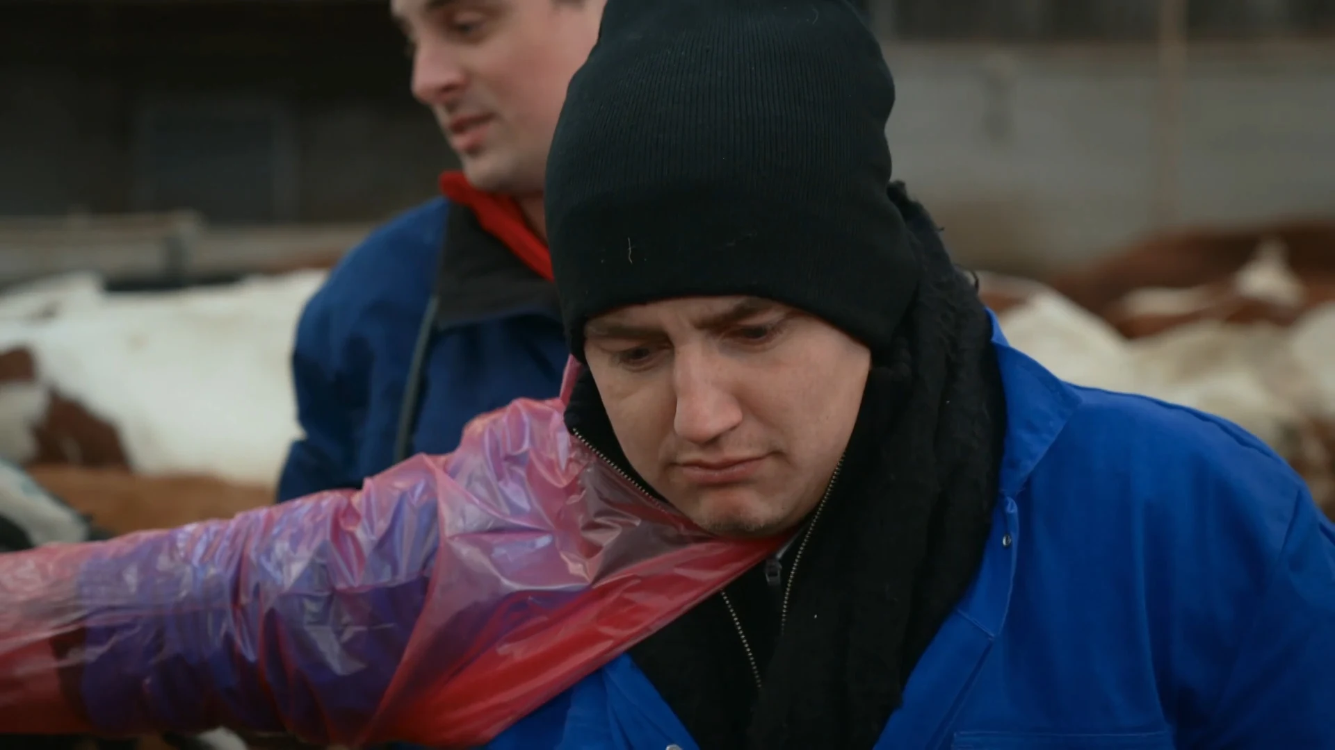 Mart & André gaan héél diep... (Hazes & Hoogkamer: tot uw dienst)