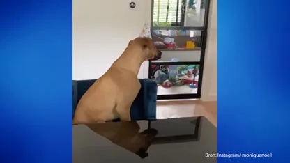 Groot feest voor André Hazes en Monique