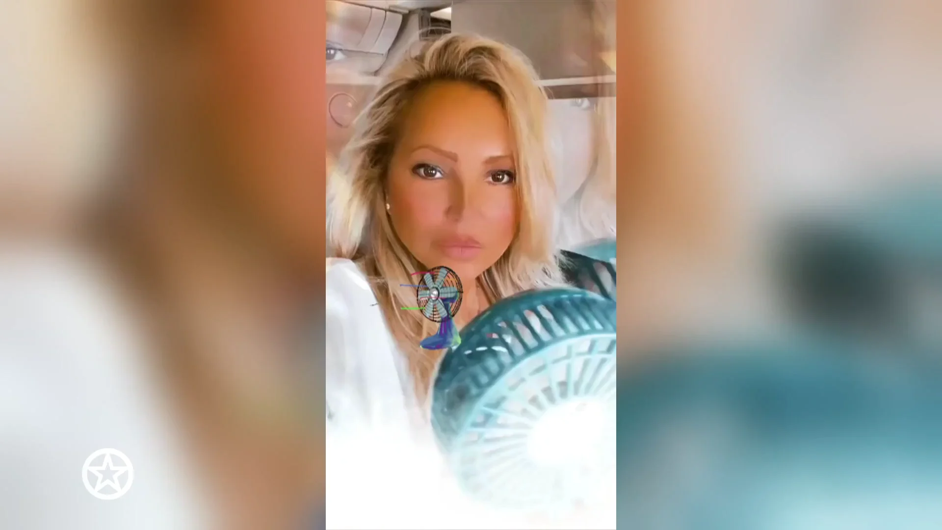 Kritiek op Tatjana Simic