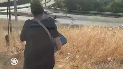 Brigitte laat stem horen voor zwerfhondjes