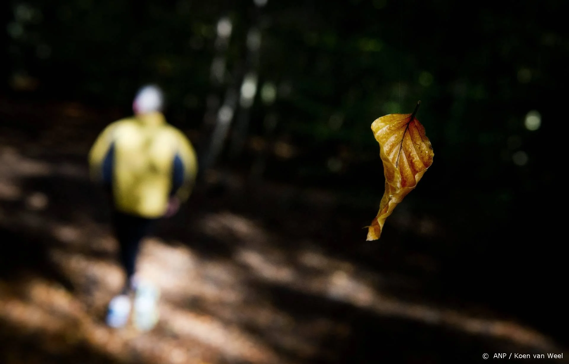Ton van Dijk, oud-hoofdredacteur Nieuwe Revu, overleden