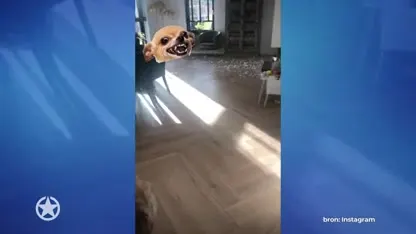 Monique in shock: 'Wie heeft dit gedaan?'