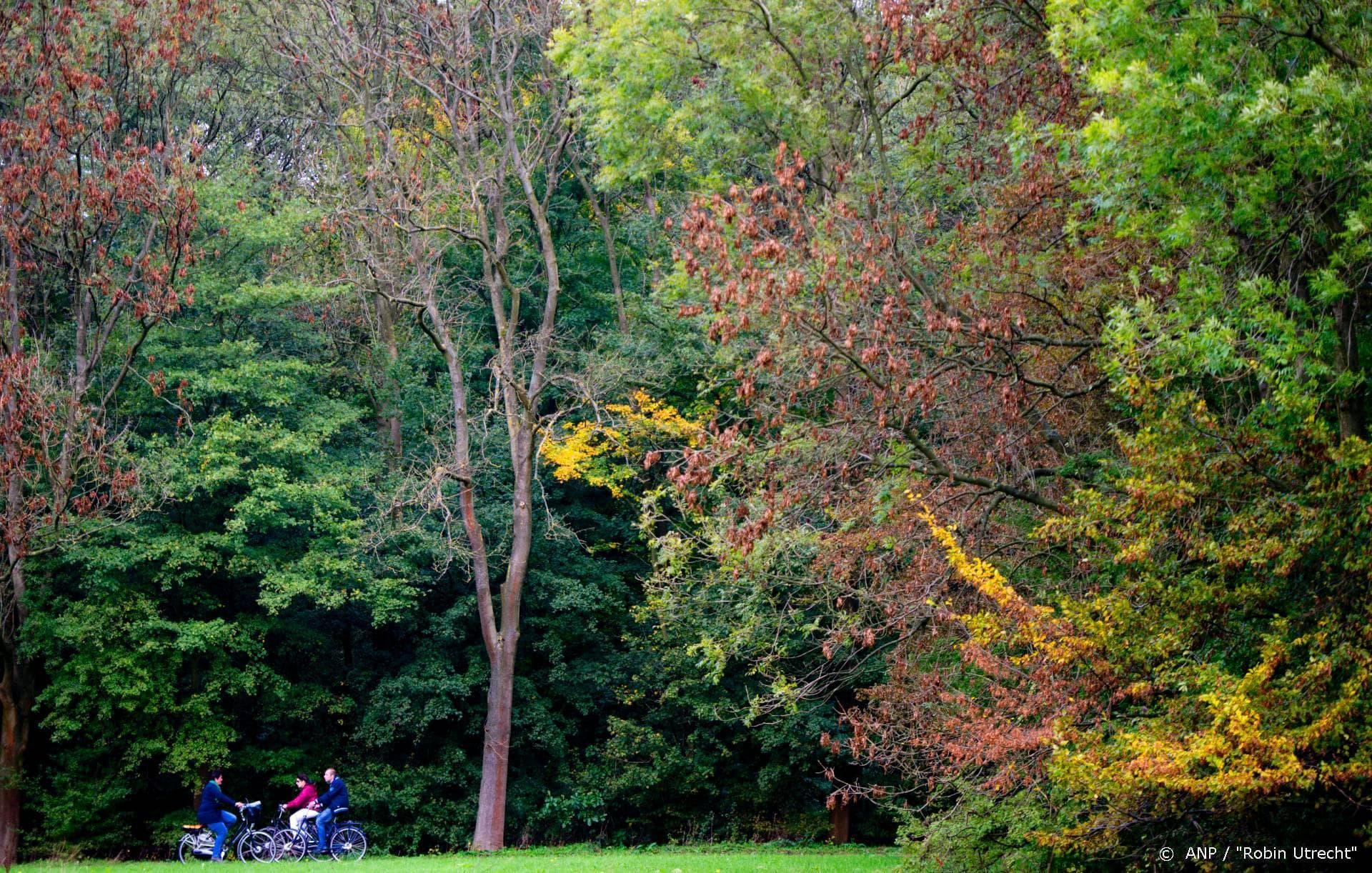 Kralingse Bos krijgt 3D-geprinte voetgangersbrug