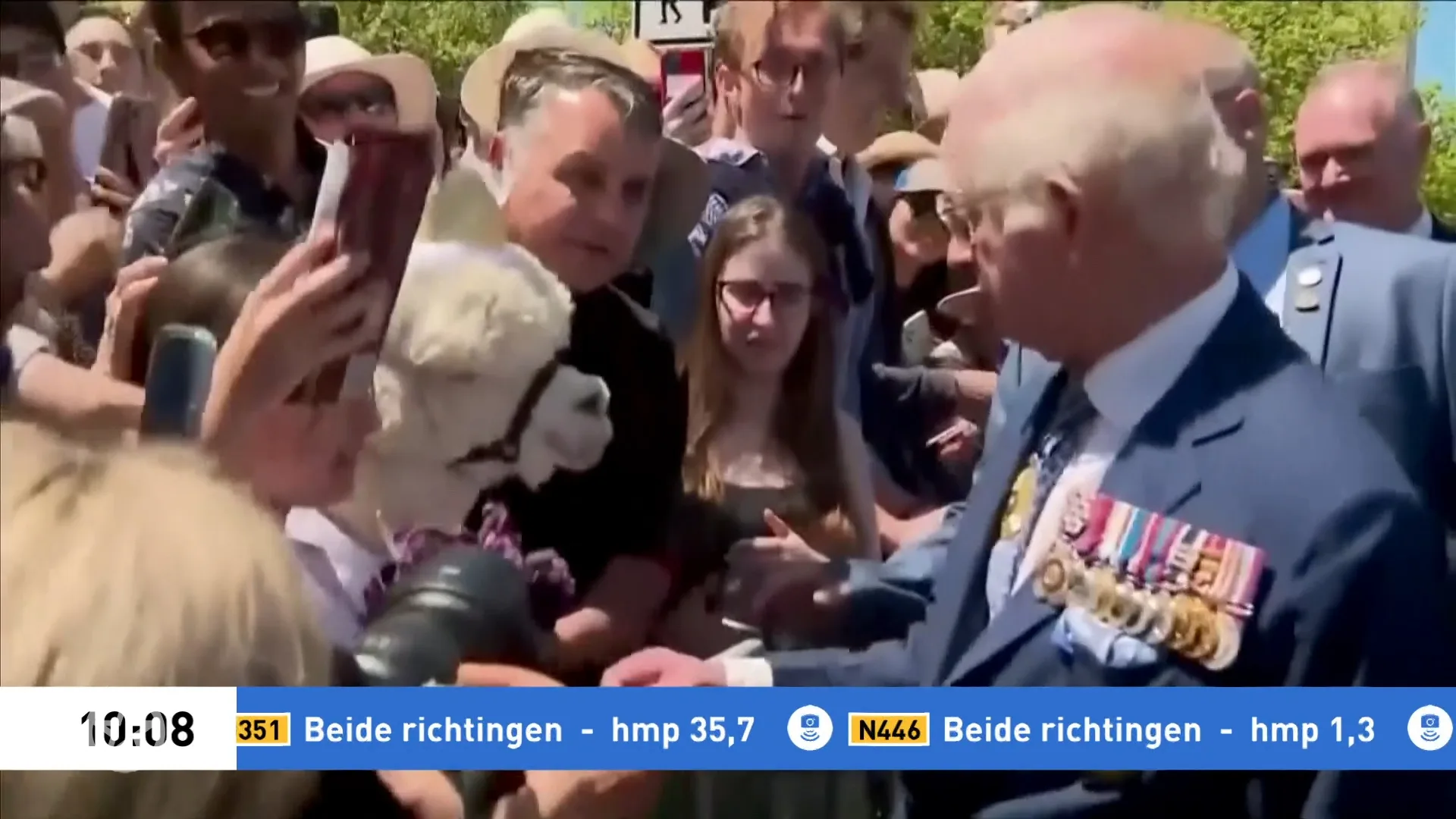 Koning Charles onder geniesd door alpaca