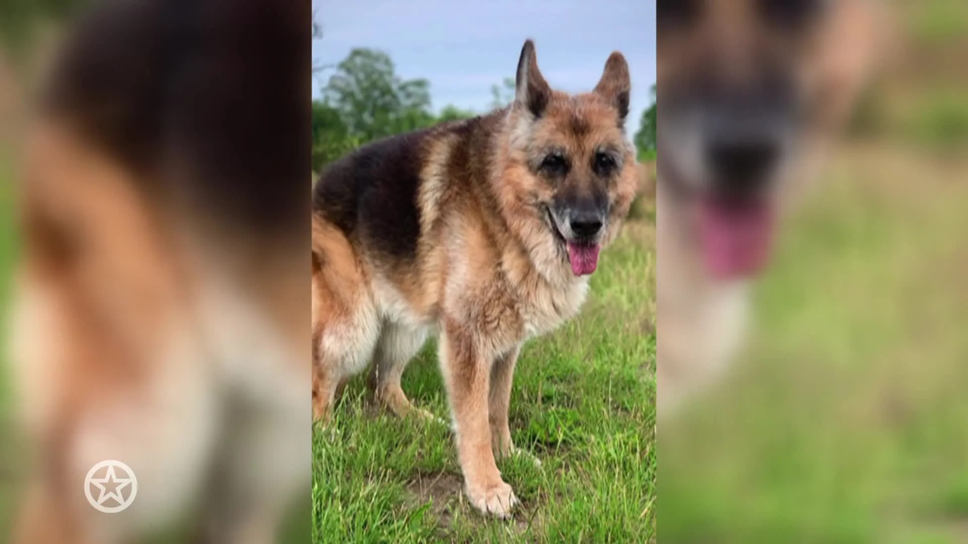 Heleen van Royen in diepe rouw