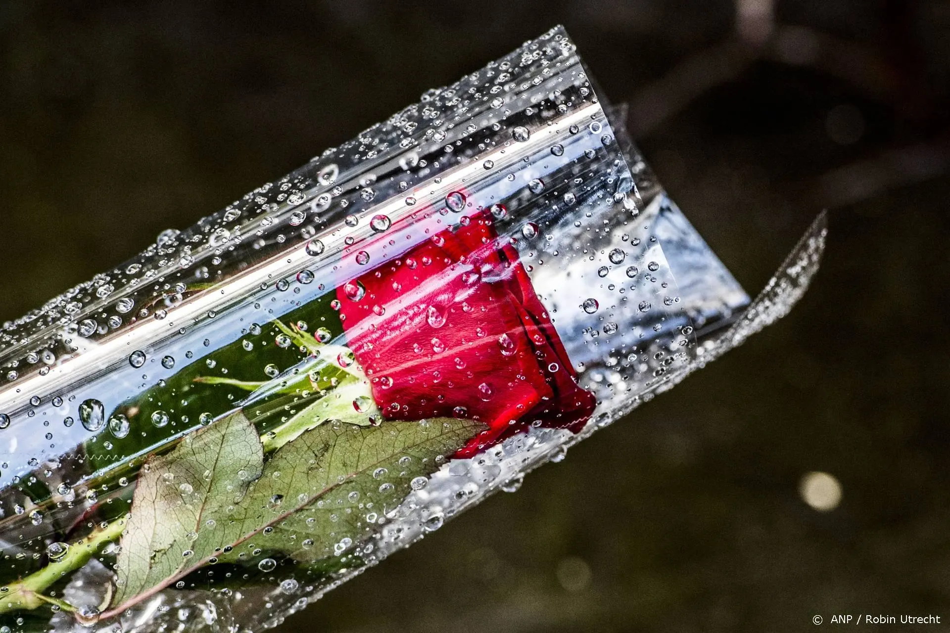 The Sopranos-acteur Joseph Siravo (64) overleden