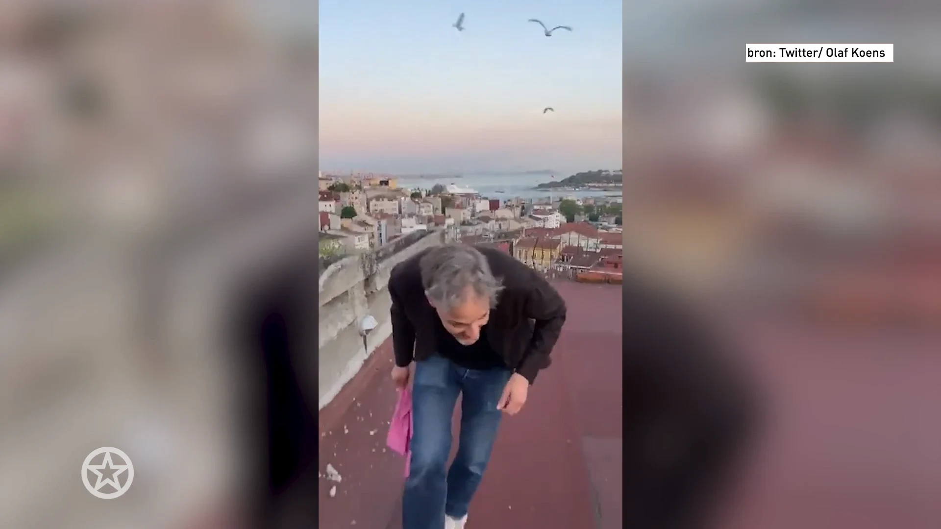 ZIEN: Meeuwen verjagen RTL-correspondent