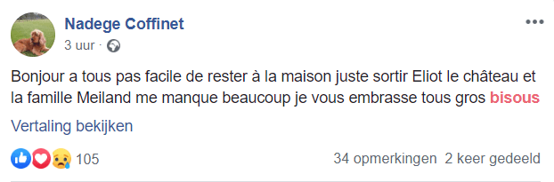 Chateau Meiland-Nadège mist de familie heel erg