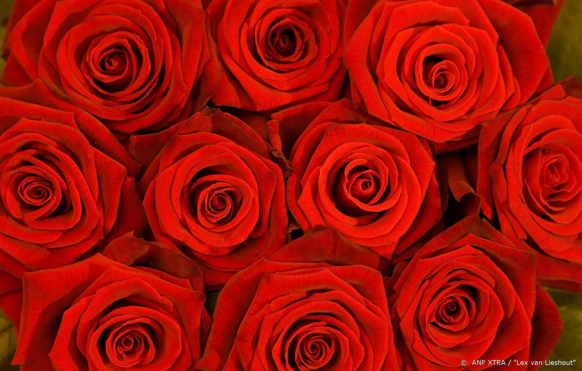 Matt James is de eerste Bachelor met een zwarte huidskleur