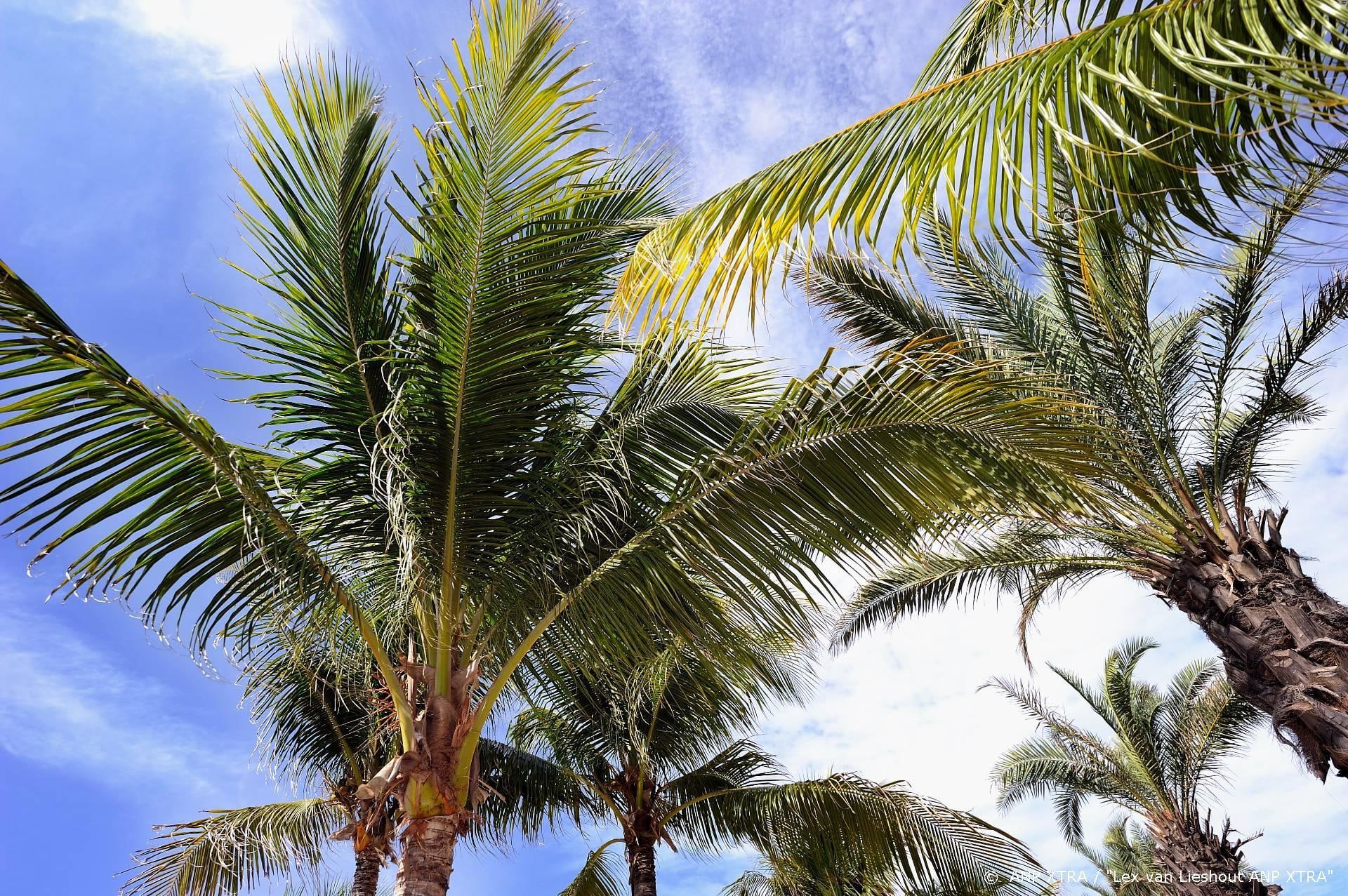 Britse Love Island dit jaar niet meer op televisie