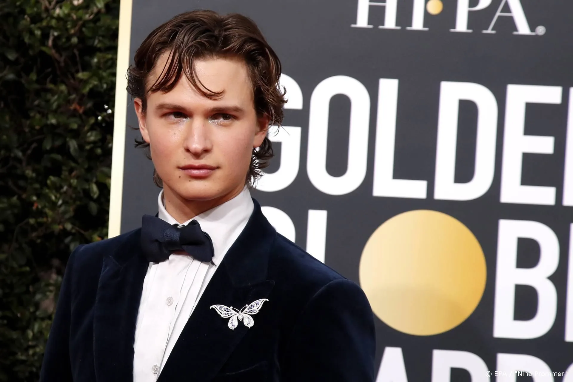 Ansel Elgort ontkent seksueel misbruik minderjarige