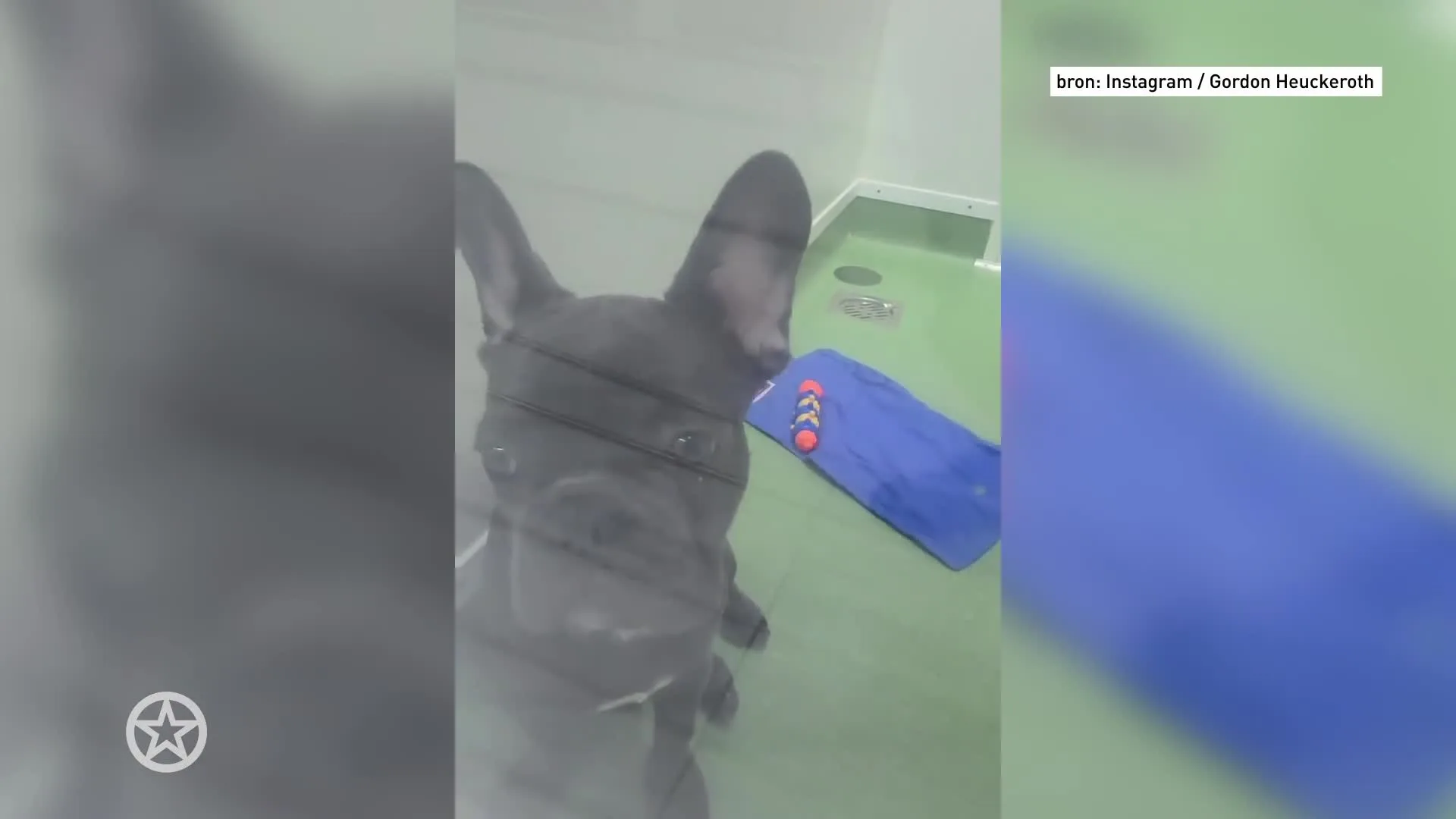 Broertje voor Toto Heuckeroth?